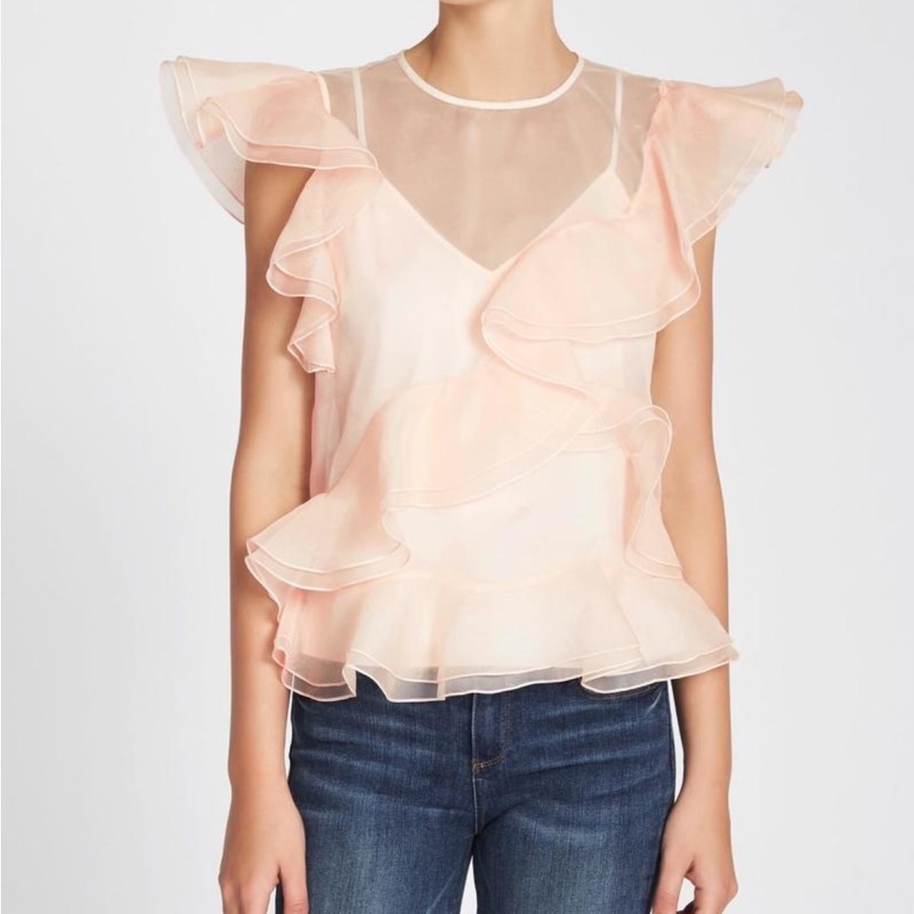 NWT sheer ruffle blouse